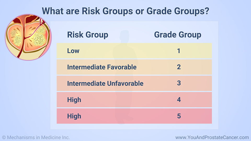 What are Risk Groups or Grade Groups?
