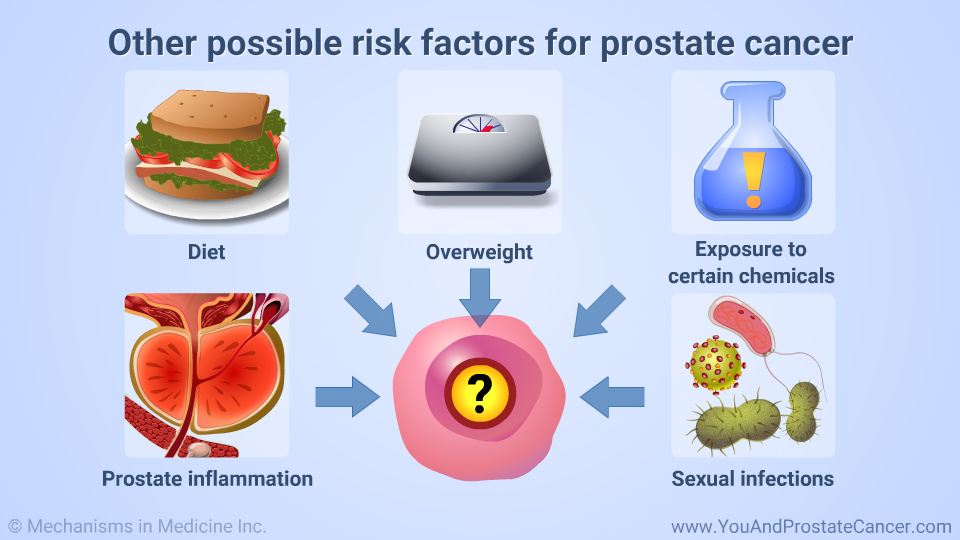 Other possible risk factors for prostate cancer